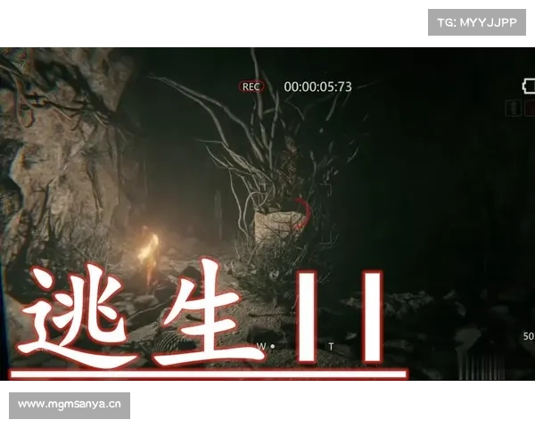 神秘门逃生攻略(神秘门逃生2游戏攻略：逃离谜门：终极逃生攻略)